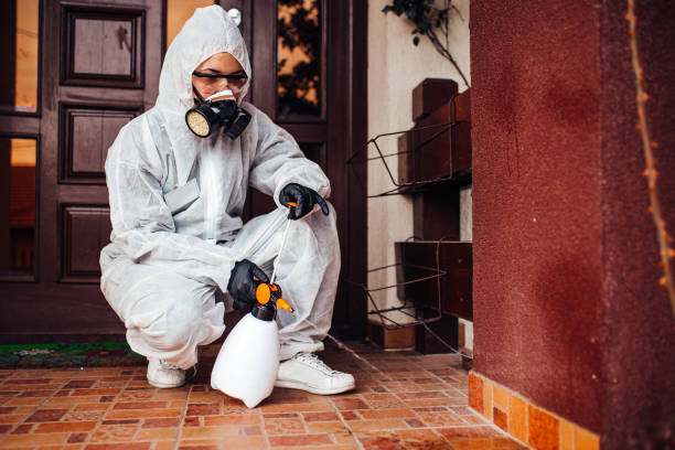Reliable Cockroach Control contractor in Oneonta, AL by Nex Pest Control